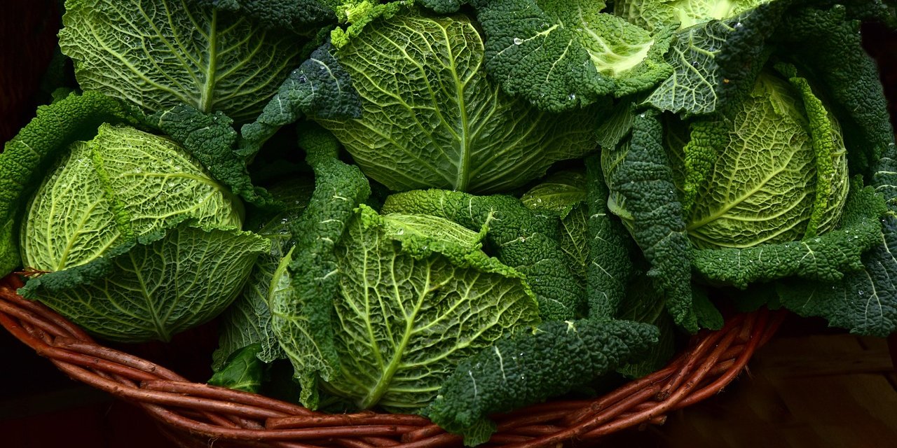Савойська капуста (Фото: ulleo/pixabay.com)