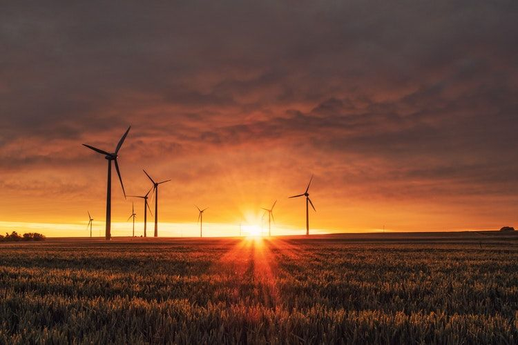 The total capacity of the new wind power plant will be 39.9 MW. (Photo: Unsplash)