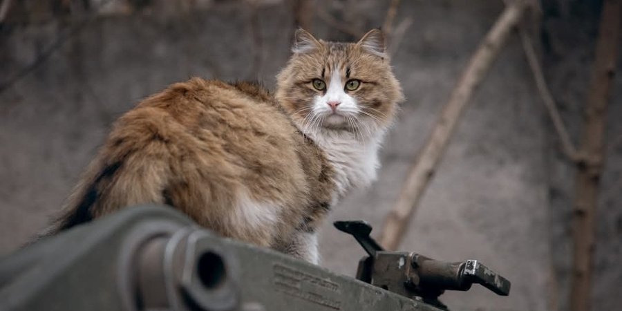 Мобилизация 2025: кого могут призвать в&nbsp;армию в&nbsp;феврале