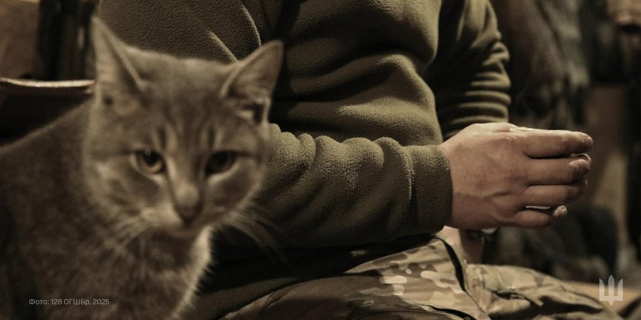 Зарплаты и&nbsp;надбавки в&nbsp;армии. Что получают военнослужащие за&nbsp;свою службу