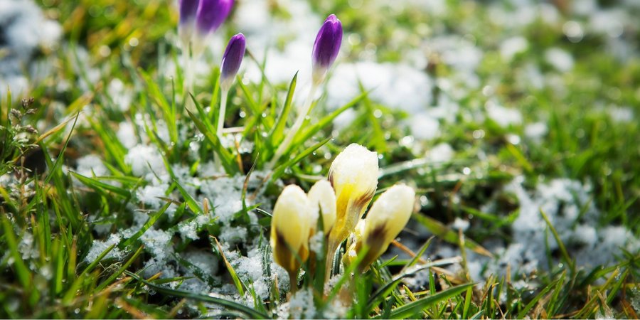 Аномальное тепло. Синоптики сообщили о&nbsp;температуре выше нормы на&nbsp;выходных и&nbsp;где ночью будет мороз