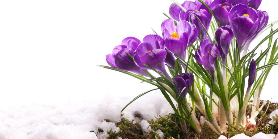 Мороз и&nbsp;снег. Синоптик сообщила, сколько еще в&nbsp;Украине продлится зимняя погода