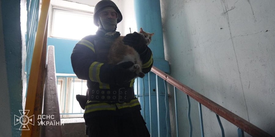 &laquo;Везде дети были&raquo;. Очевидцы рассказали о&nbsp;последствиях ракетного удара&nbsp;РФ по&nbsp;Сумам