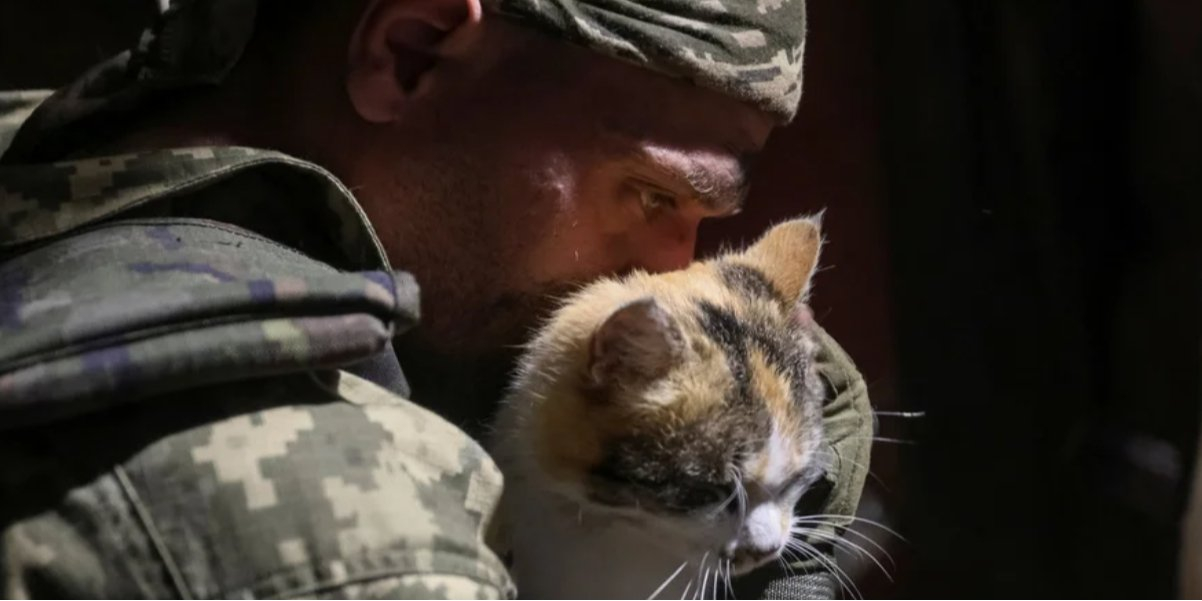 A Ukrainian soldier with a cat on the front line near Toretsk, April 7, 2025. (Photo: REUTERS/Anatolii Stepanov)