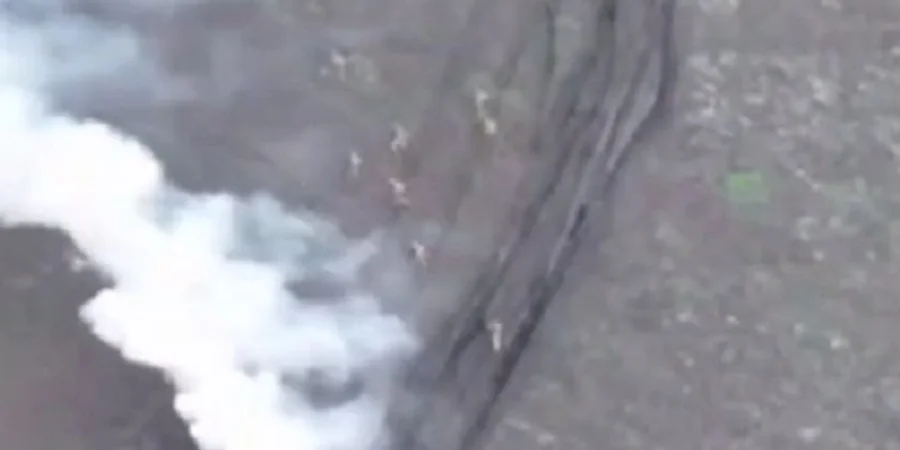 «Отработали по каждому пехотинцу». На Новопавловском направлении штурм россиян превратился в их поражение — видео