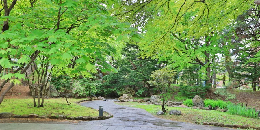 Опасные метеорологические явления. Синоптик предупредила, как распространится по Украине непогода: заморозки, дожди, грозы, ветер