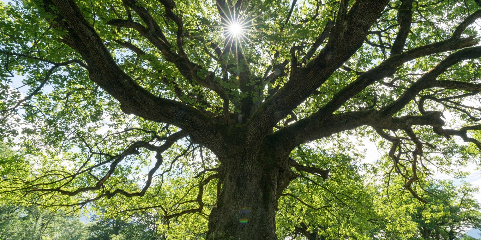 Циклон и&nbsp;атмосферный фронт. Синоптик сообщила о&nbsp;контрастной температуре от +9 до +23 в&nbsp;Украине на&nbsp;выходных и&nbsp;когда придет потепление