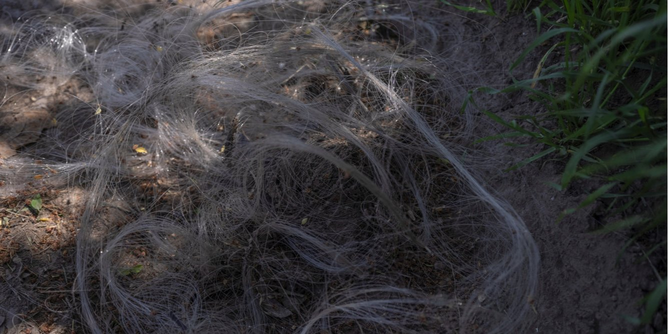 Fiber-optic cable from Russian FPV drones on a road near Kostiantynivka, Donetsk Oblast, May 7, 2025. (Photo: Iryna Rybakova/Press Service of the 93rd Kholodnyi Yar Separate Mechanized Brigade/Handout via REUTERS)