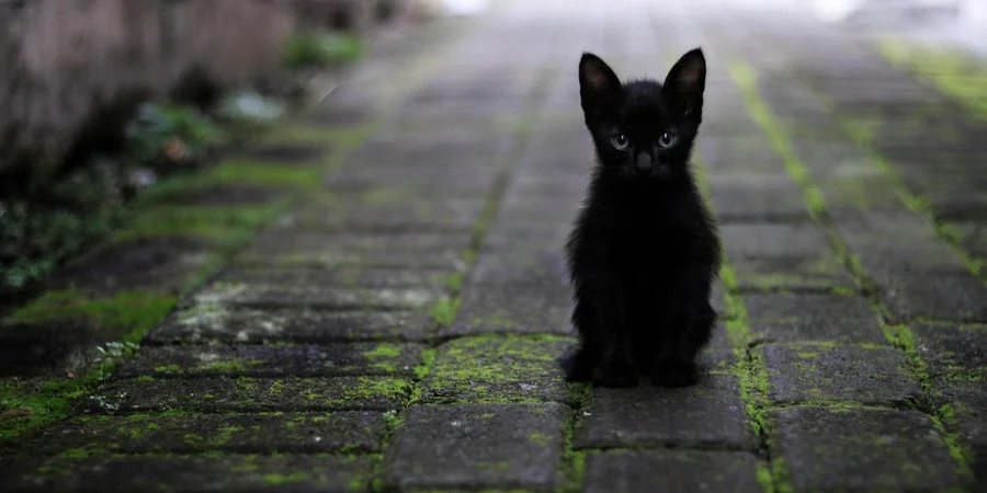 Атмосферный фронт с непогодой. Синоптик предупредила, где в Украине снизится температура воздуха и пройдут грозовые дожди с градом