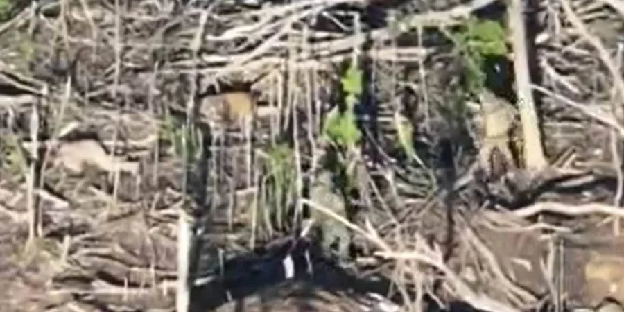 Российские оккупанты расстреляли двух украинских военнопленных на Покровском направлении — Офис генпрокурора