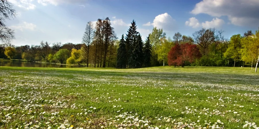Накануне лета. Синоптик сообщила о дождях, грозах в ближайшие дни и с какой погоды начнется июнь