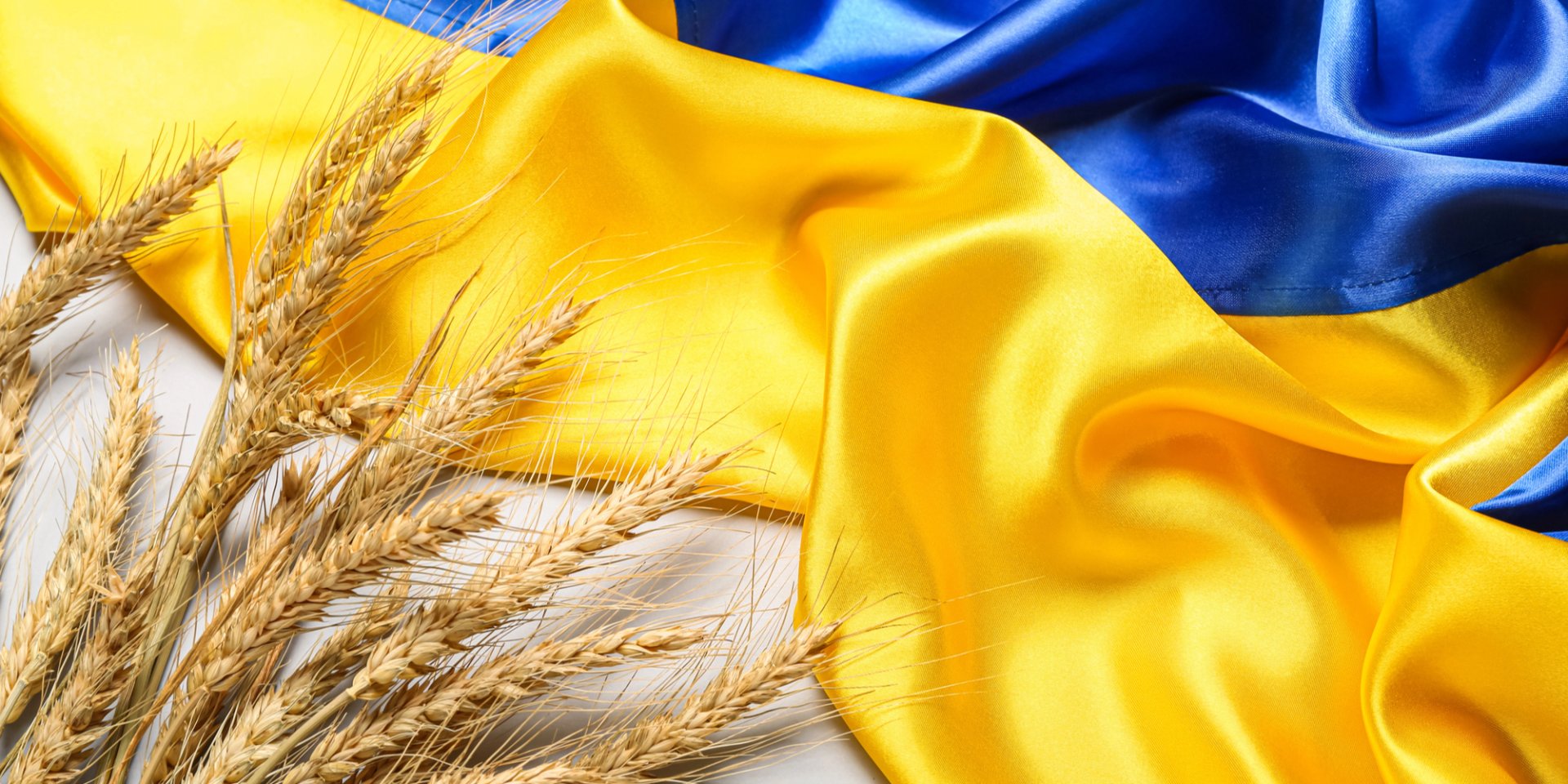 День Конституції України (Фото: serezniy/depositphotos)