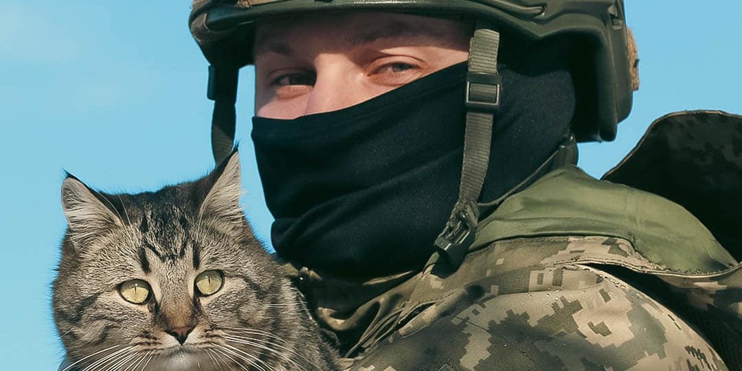 Военный и кот (Фото: 14 отдельная механизированная бригада имени князя Романа Великого)