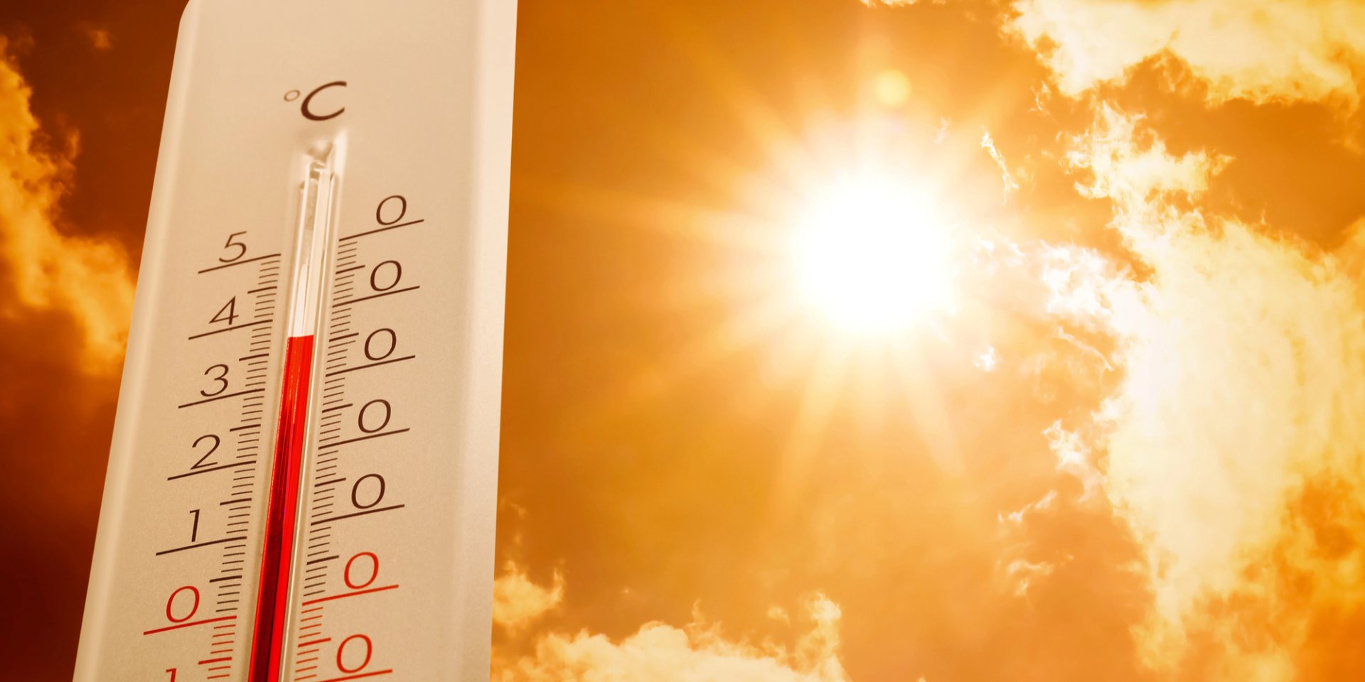 Разогреет до +37. В&nbsp;какие дни Украину накроет сильная жара и&nbsp;когда она пойдет на&nbsp;спад в&nbsp;большинстве регионов