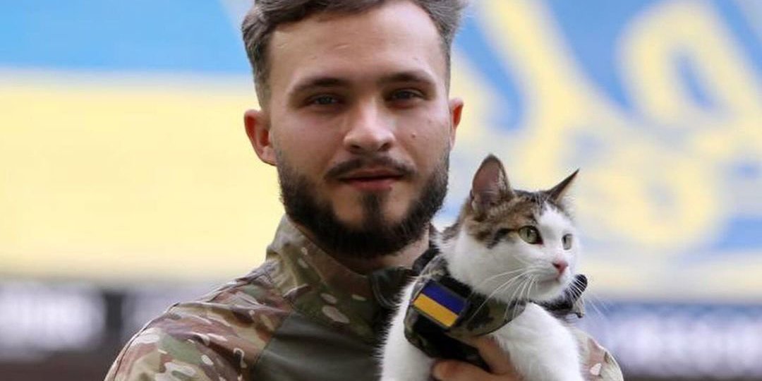 Військовий із котиком (Фото: Житомирський обласний ТЦК та СП)