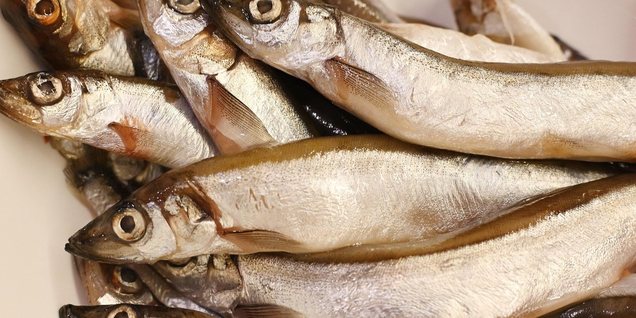 Продукты, которые могут испортить запах тела (Фото: Irenna_____/pixabay)