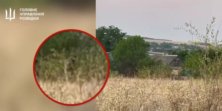 Спецназовцы ГУР уничтожили трех кадыровцев в тылу врага в Запорожье — видео