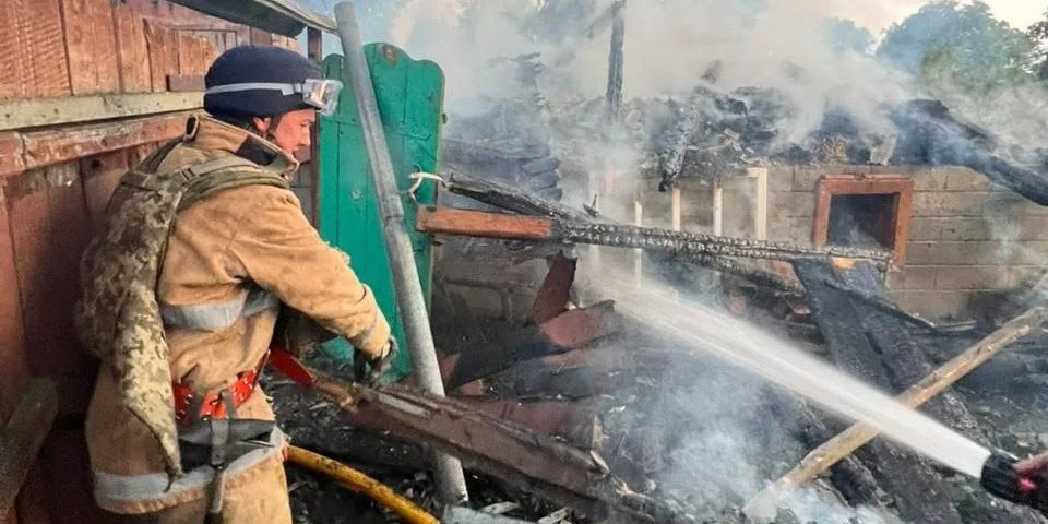 Бушмендер және олардың өмірі секс видео