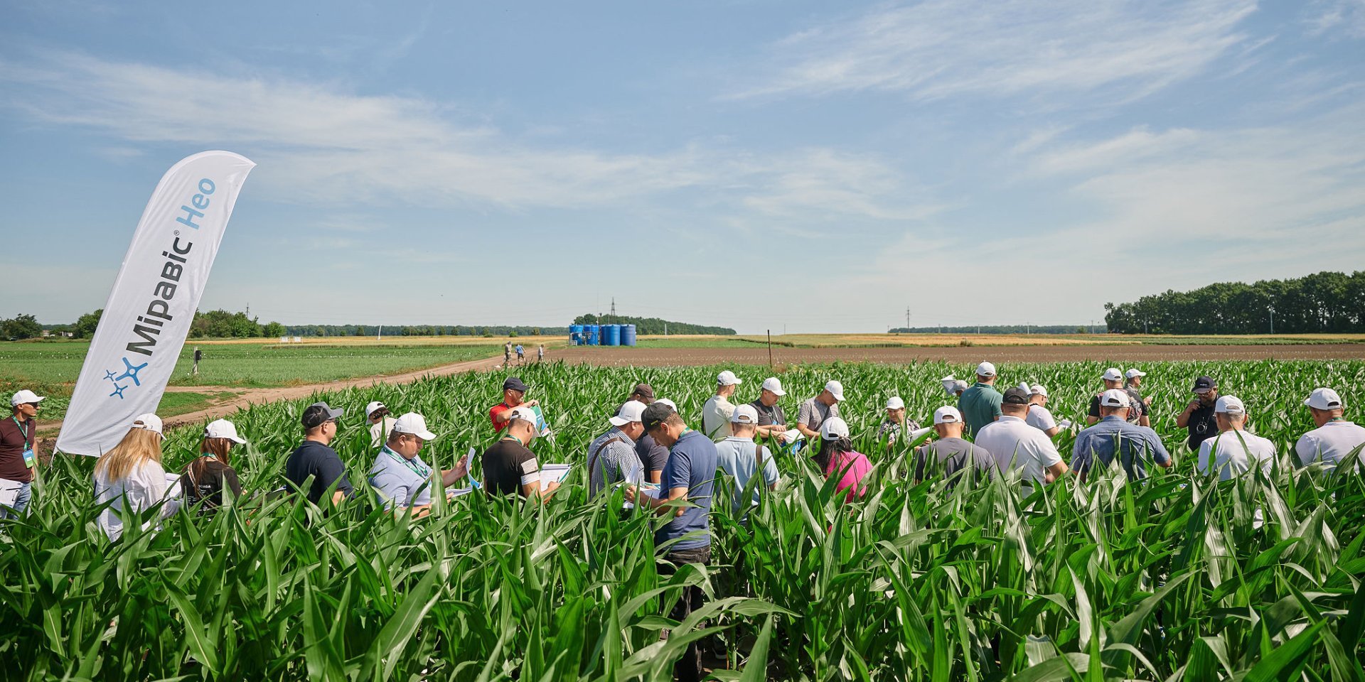 Восстановление агросектора — это наш шанс сделать лучше, чем было, — «Сингента» в Украине - фото