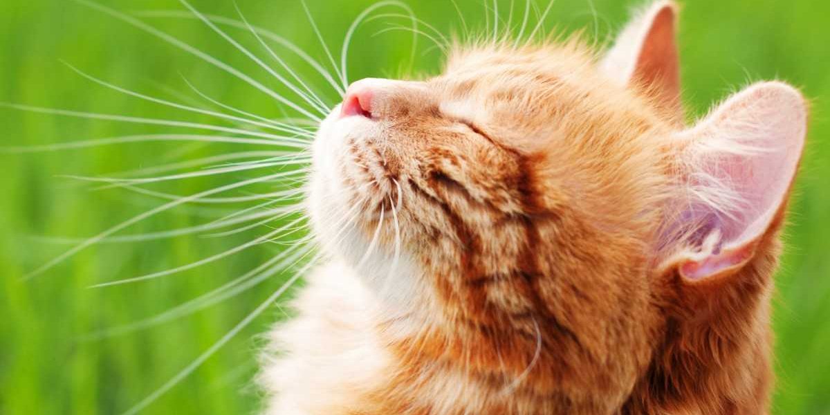 Гроза и&nbsp;более +30. Синоптик сообщил, где ожидается сильный дождь и&nbsp;в&nbsp;каких областях будет температура выше нормы