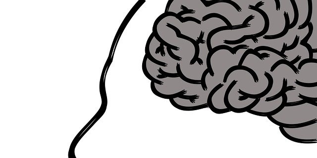 Изучая ткани человеческого мозга и проводя долговременные опыты на мышах, ученые установили: дефицит лития связан с формированием бета-амилоидных бляшек (Фото: pixabay)