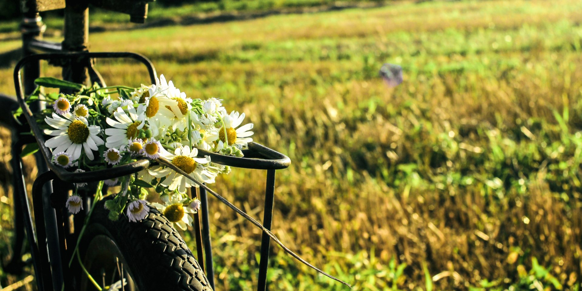 Настоящие августовские выходные. Синоптик сообщил, где ожидаются дожди, грозы, самые прохладные ночи и&nbsp;дневная жара