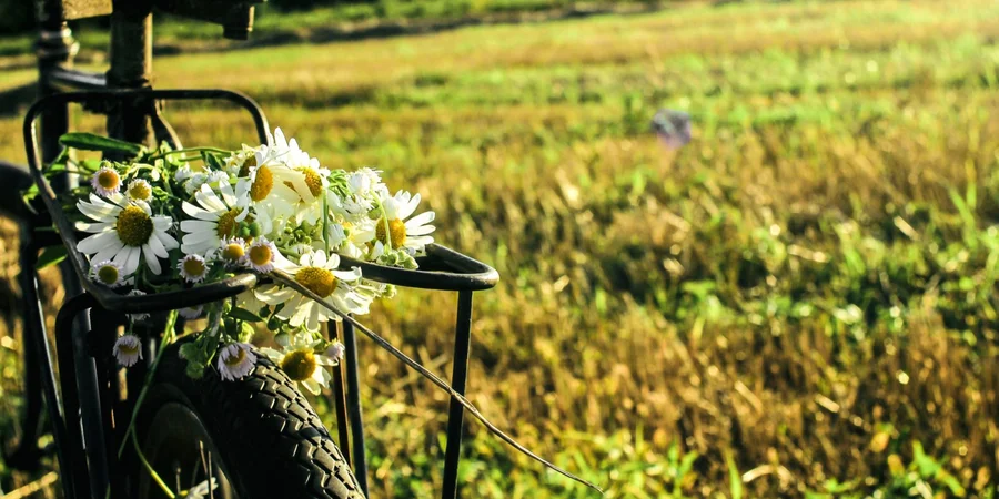 Настоящие августовские выходные. Синоптик сообщил, где ожидаются дожди, грозы, самые прохладные ночи и дневная жара