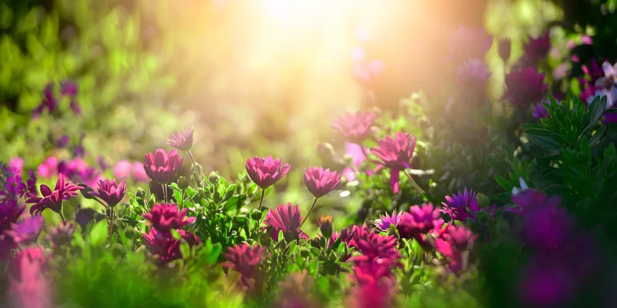 Температуру +9 заменит жара. Сколько продлятся холодные ночи в Украине и когда придет ощутимое потепление