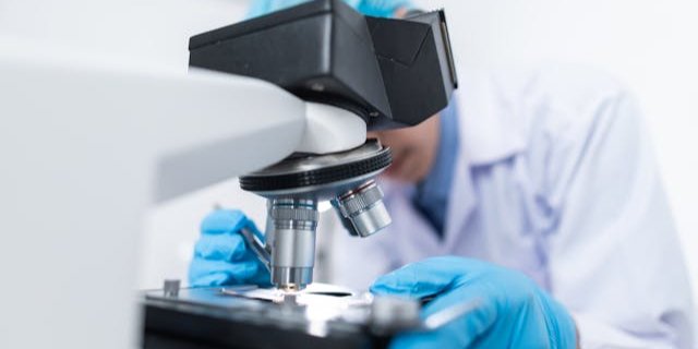 В опытах на мышах ученые смогли оценить влияние S. mansoni на болевую чувствительность (Фото: pexels)