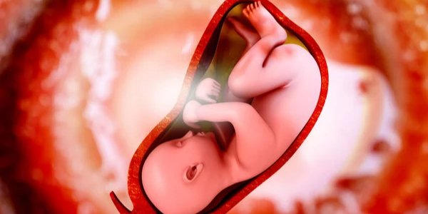 Это открытие подчеркивает, что вместо того, чтобы избегать микробов, стоит учитывать их как критический фактор здорового развития мозга еще до рождения. (Фото: exploderasi/Depositphotos)