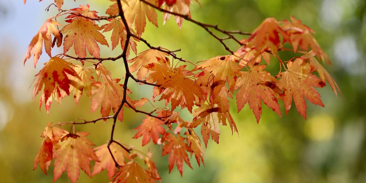 Осень в&nbsp;Европе. Ученые сделали прогноз погоды на&nbsp;новый сезон и&nbsp;сообщили, как на&nbsp;нее повлияет Эль-Ниньо