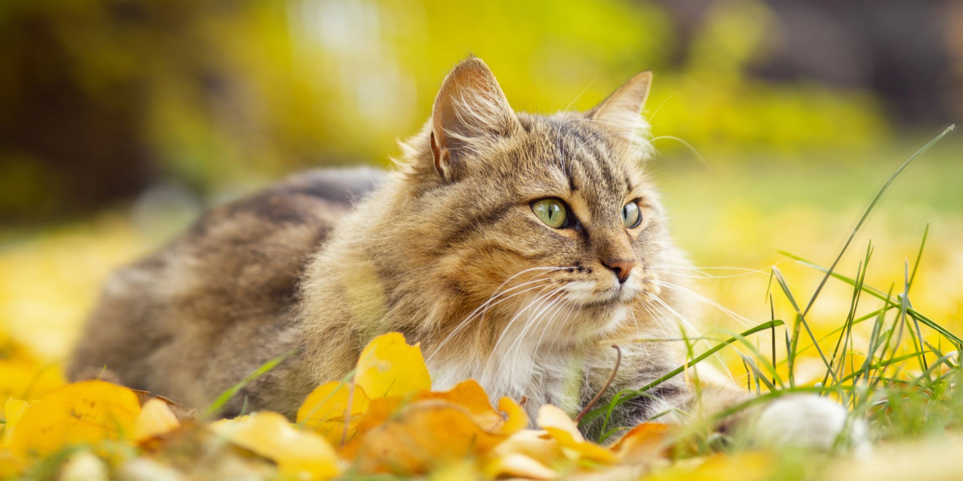 Завершение сезона. Жара на&nbsp;выходных и&nbsp;где снизится температура и&nbsp;пройдет дождь 1&nbsp;сентября в&nbsp;Украине