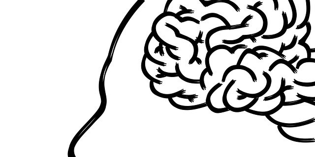 Результаты показали, что у людей с высоким генетическим риском развития ВД зафиксированы меньшие объемы внутричерепного пространства и площади поверхности коры головного мозга (Фото: pixabay)