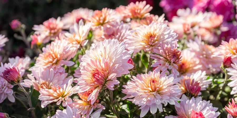 «Прикройте все деликатное». Синоптик сообщила погоду на выходных и день, когда в Украину придет похолодание с дождем