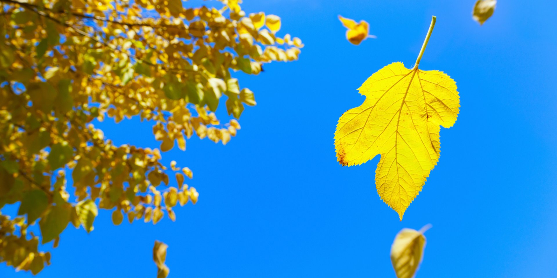 Влияние антициклона. Синоптики сообщили о&nbsp;теплых выходных, где будут небольшие грозовые дожди и&nbsp;порывистый ветер