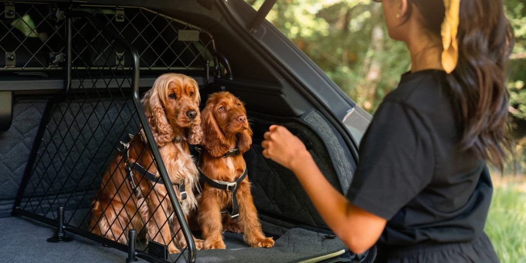 Комфорт для собак в авто Bentley (Фото: Бентли)