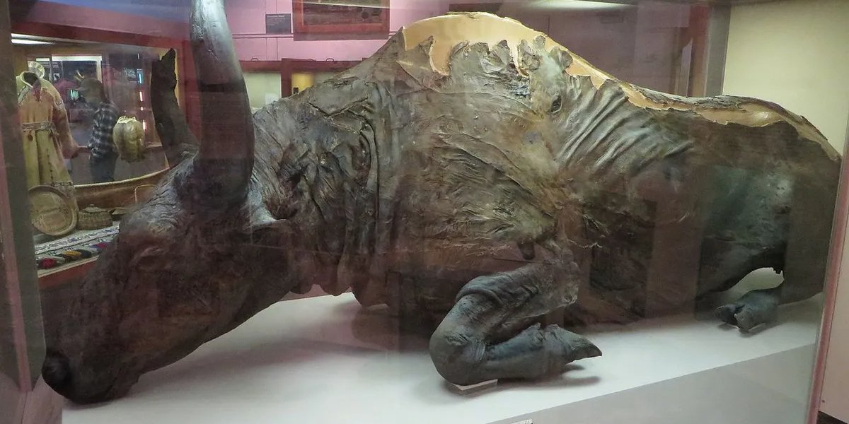 Замерзший бизон (Фото: iflscience.com)