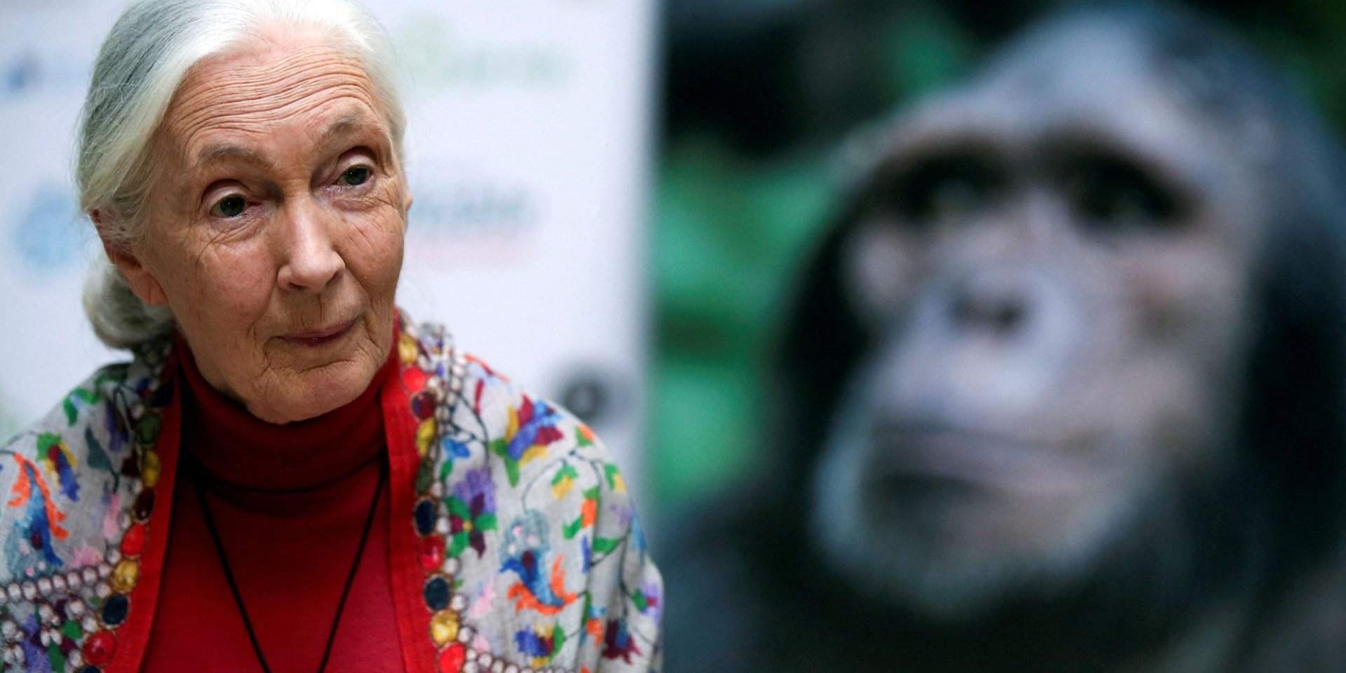 Порно фотогалерея үлкен волосатые кәрі киска