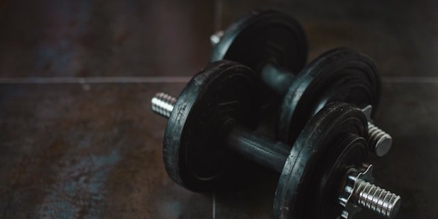 Під час інтенсивних тренувань у крові мишей різко зростає рівень метаболіту під назвою Lac-Phe (Фото: unsplash)