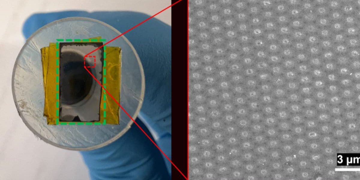 Мембрана с палладиевыми пробками (Фото: Массачусетский технологический институт)