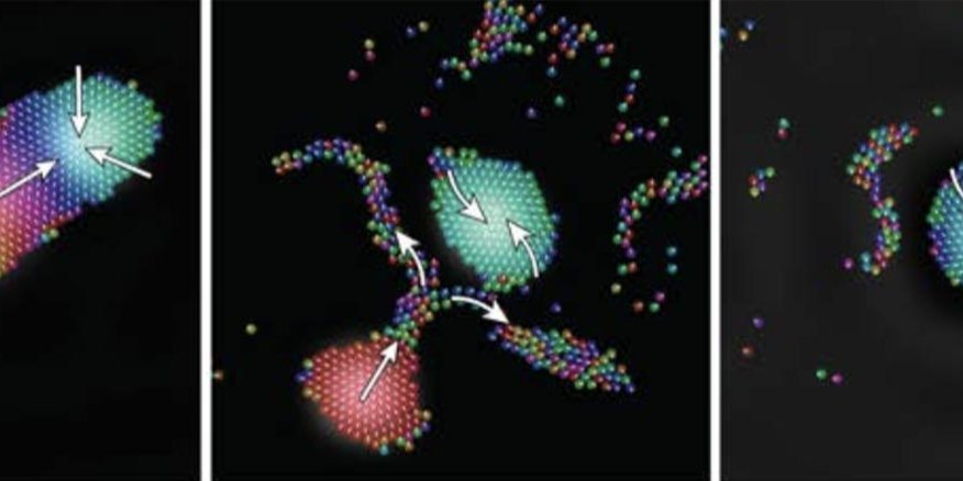 Новое исследование показывает, как звуковые волны могут служить средством управления микророботами (Фото: Igor Aronson / Penn State)