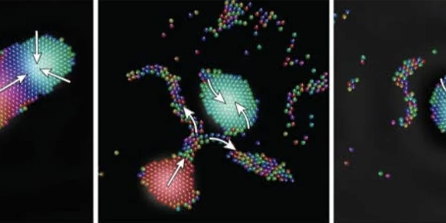 Новое исследование показывает, как звуковые волны могут служить средством управления микророботами (Фото: Igor Aronson / Penn State)