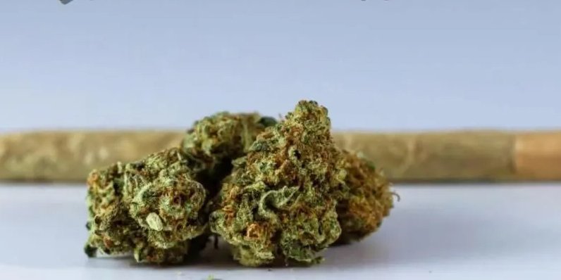 Полиция Мэриленда набирает добровольцев для курения каннабиса (Фото: Ocean City Police Department/Facebook)