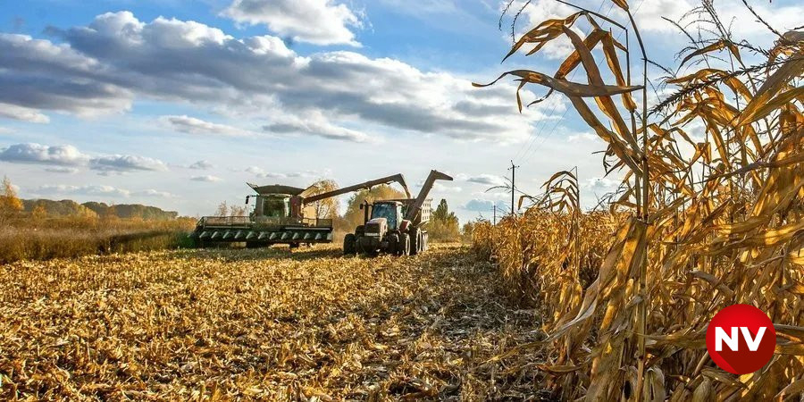 2025 was challenging for Ukrainian agricultural sector (Photo: Oleksandr Medvedev / NV)