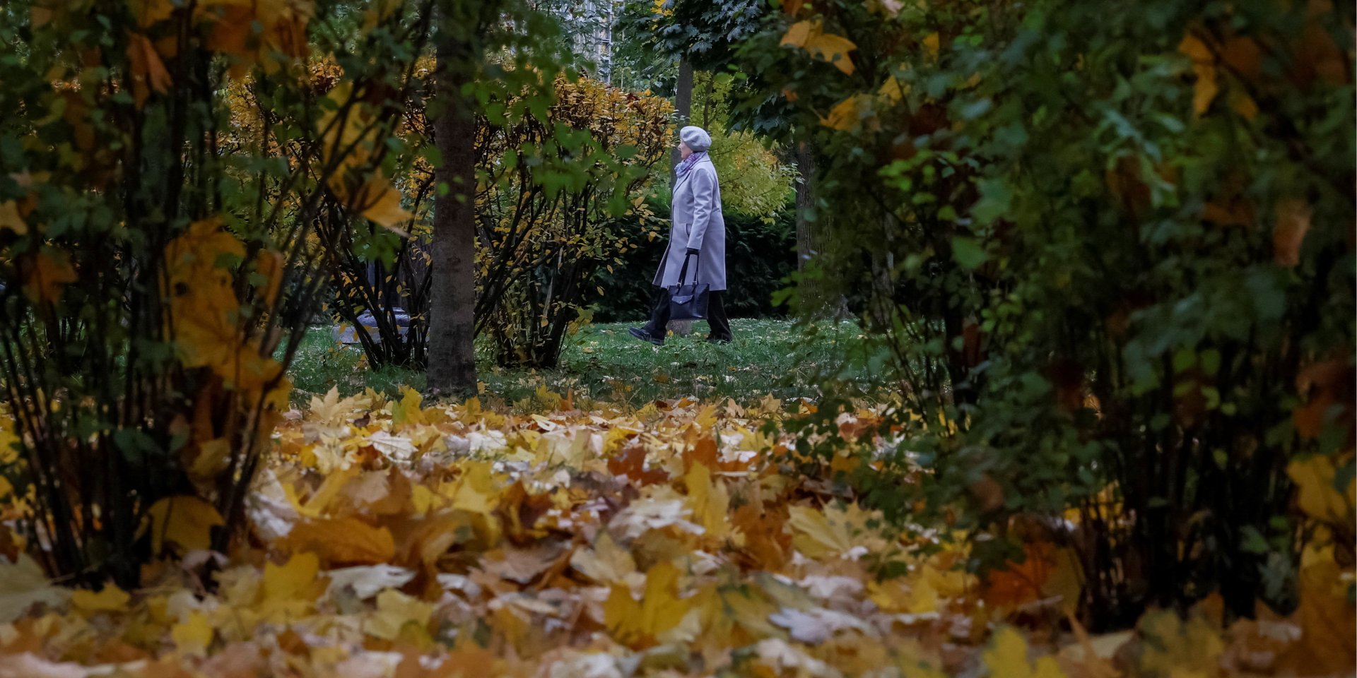 Продление военного положения, начало отопительного сезона, новые выплаты военнослужащим. Главные изменения для украинцев с&nbsp;1&nbsp;ноября