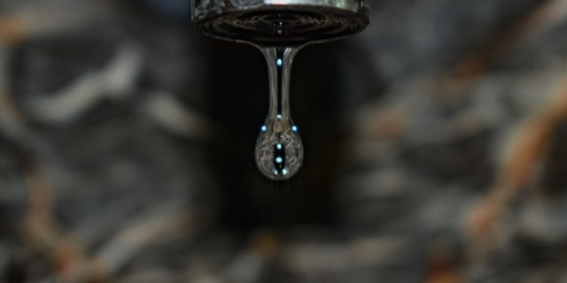 Метод базируется на превращении аграрных и древесных отходов в магнитные углеродные адсорбенты (Фото: unsplash)