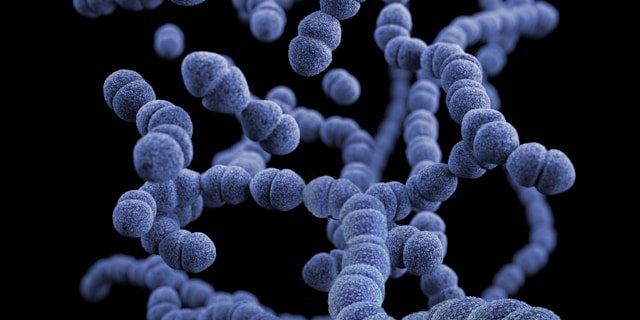 Компьютерное изображение Streptococcus pneumonia (Фото: unsplash)