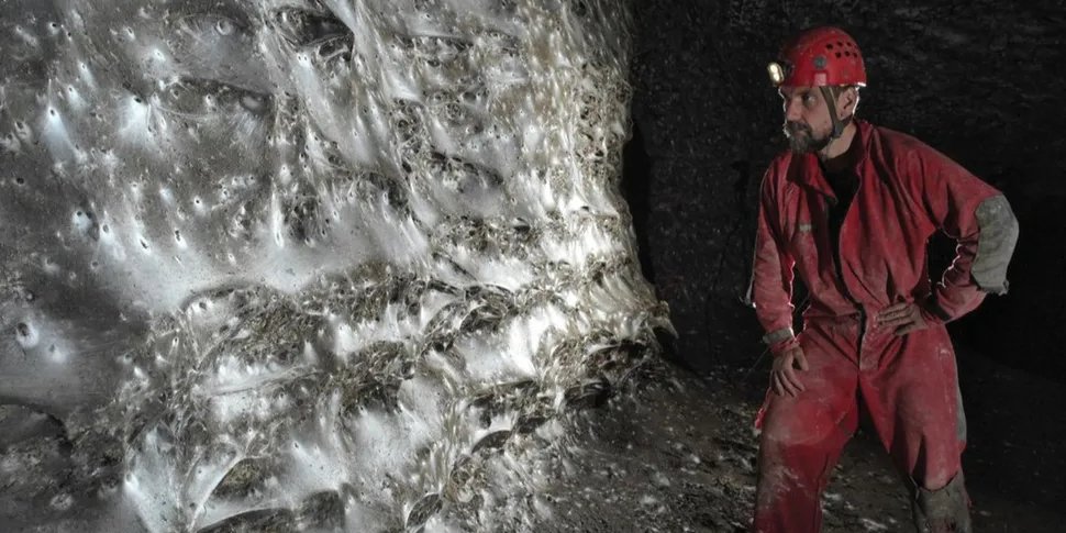 В Европе нашли самую большую паутину в мире (Фото: Subterranean Biology)