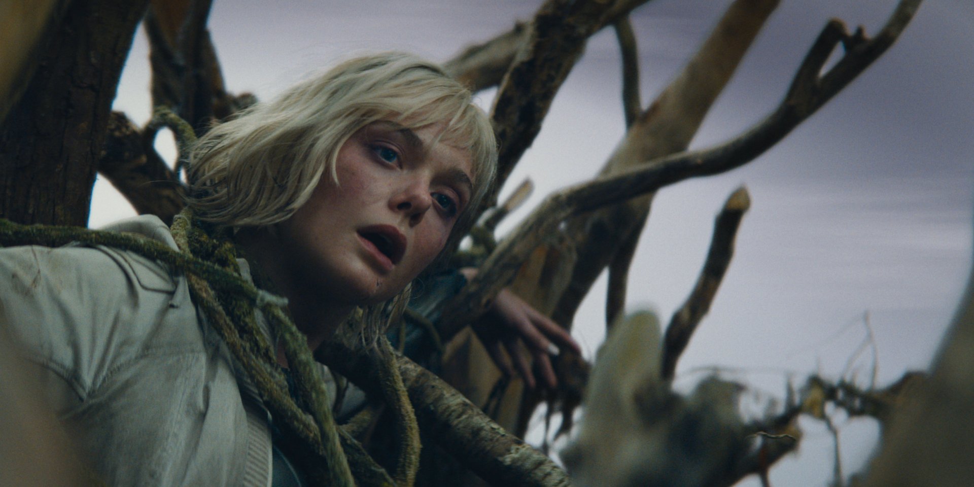 Кадр з фільму Хижак: Дикі землі (Фото: Кіноманія)