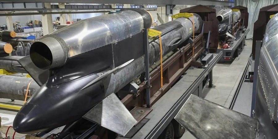 Українська крилата ракета Фламінго (Фото: Efrem Lukatsky / AP)